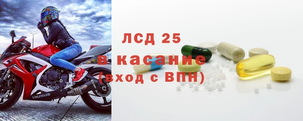 прущие грибы Арсеньев