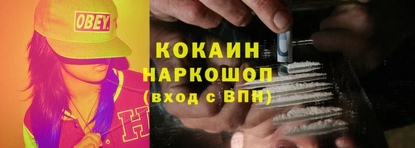 прущие грибы Арсеньев