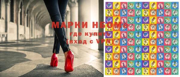 прущие грибы Арсеньев
