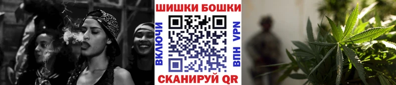 Купить где  Сураж  Шишки марихуана планчик 